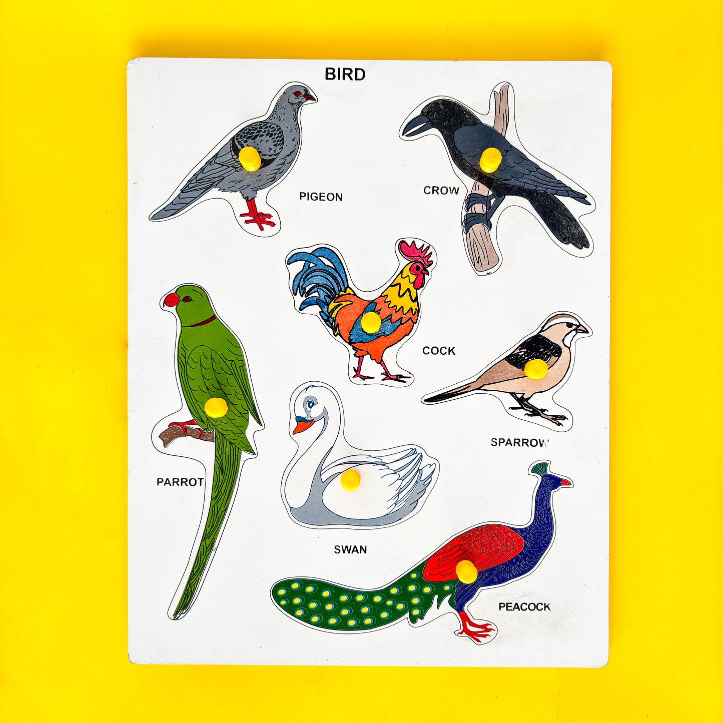 Bird puzzle for kids with various bird shapes on a yellow background. The text “BIRD” is displayed at the top followed by the names of six birds pictured: PIGEON, CROW, COCK, SPARROW, PARROT, and SWAN. This educational toy helps young children learn about different bird species.