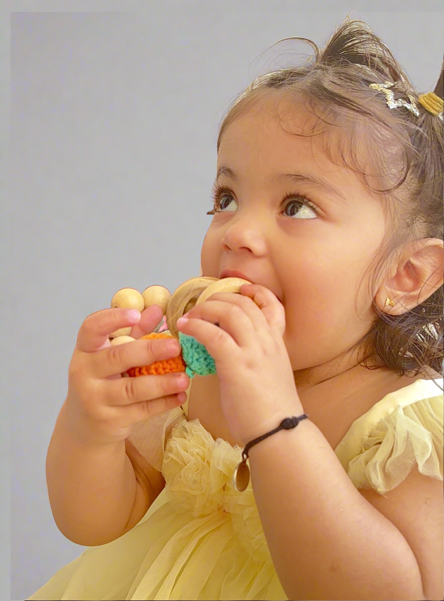 Baby Teething Toy 6 Months