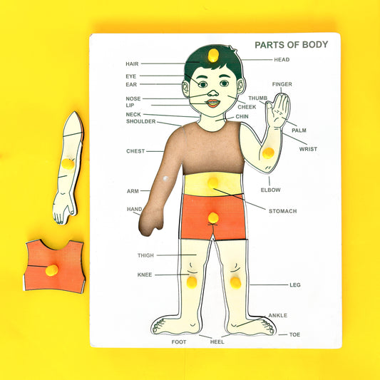 Montessori Body Parts Learning Board for Kids