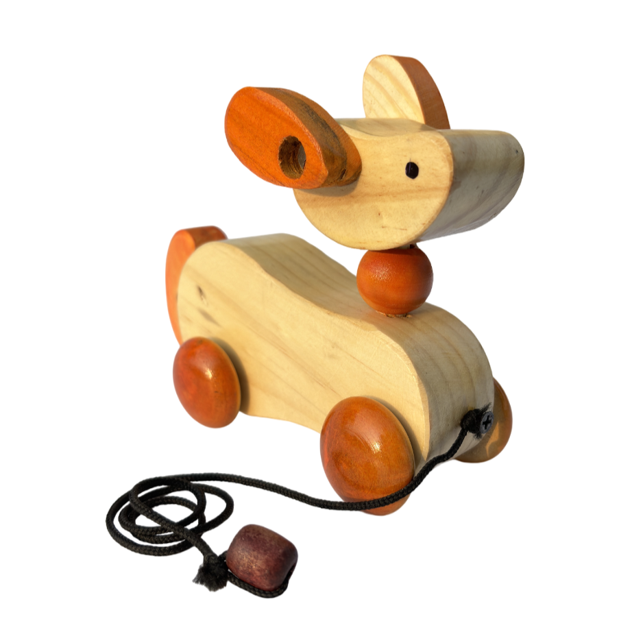 Montessori Pull Toy Mother Touch Toys