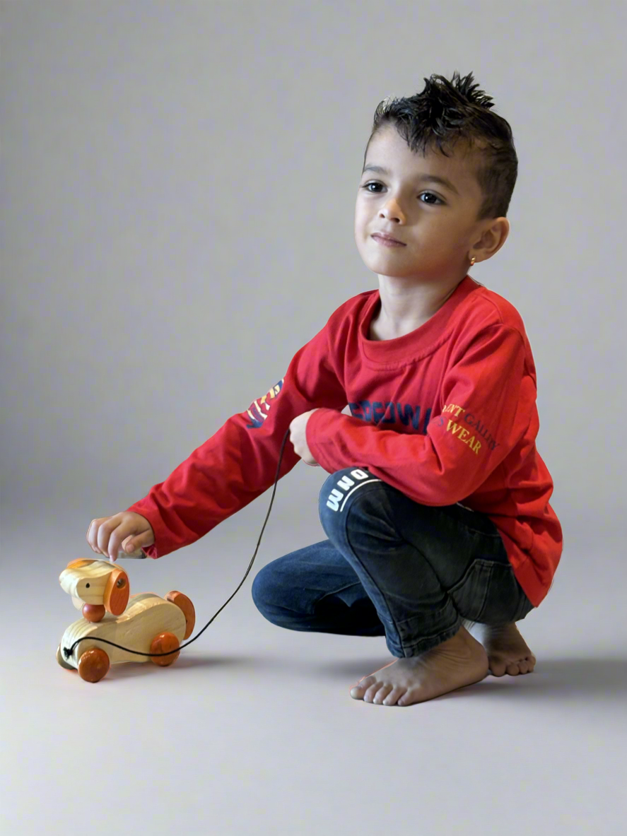Wooden Dog Pull Toy 